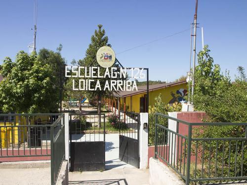 Loica Arriba 01